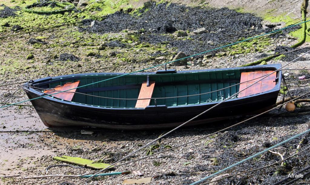 Foto de Pedreña (Cantabria), España