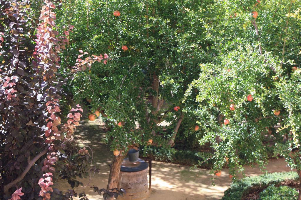 Foto de Almagro (Ciudad Real), España