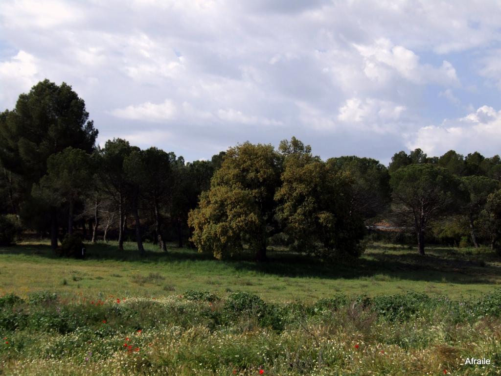 Foto de Peñas de San Pedro (Albacete), España