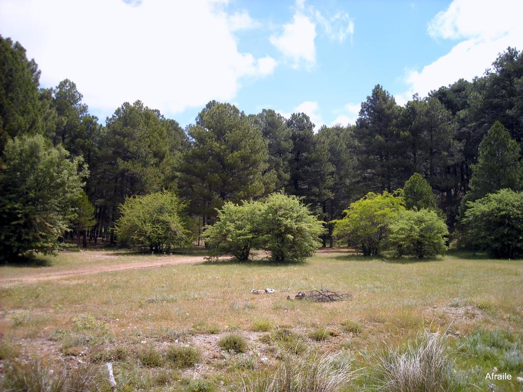 Foto de Peñascosa (Albacete), España