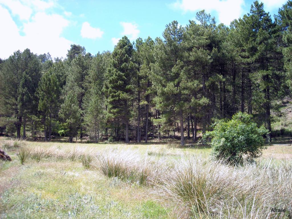 Foto de Peñascosa (Albacete), España