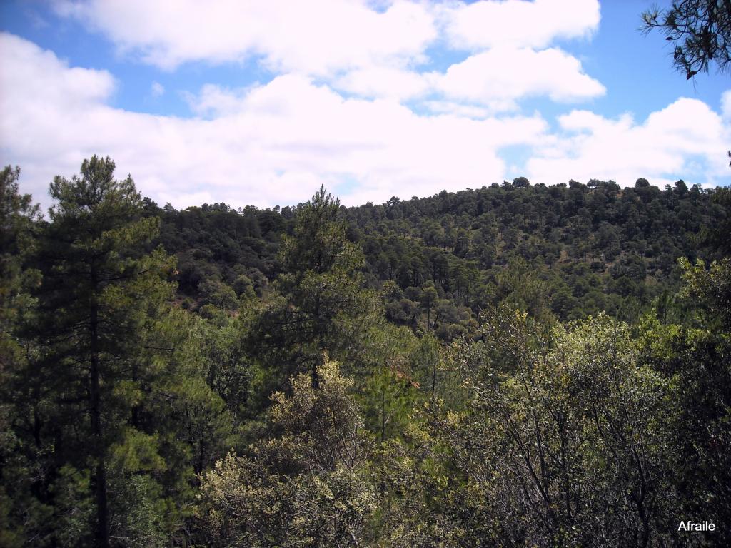 Foto de Peñascosa (Albacete), España