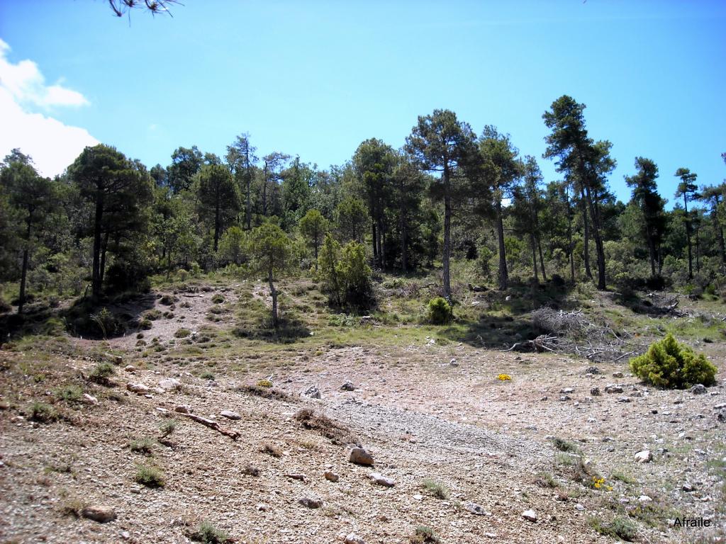 Foto de Peñascosa (Albacete), España