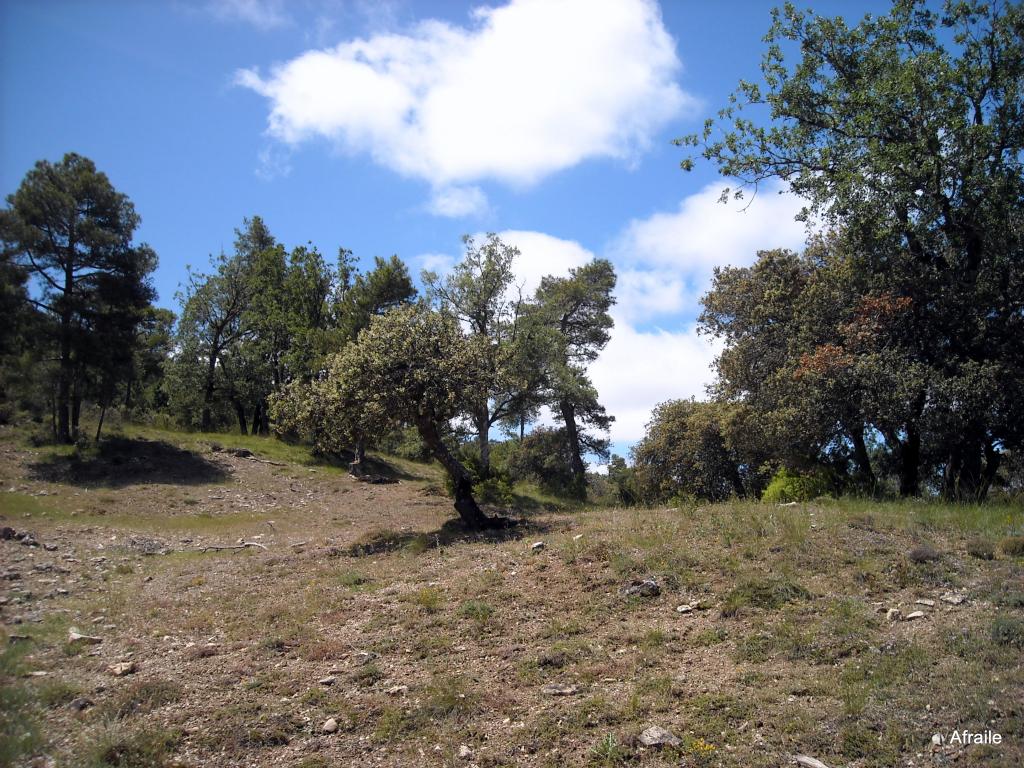 Foto de Peñascosa (Albacete), España