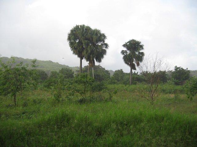 Foto de Los Conucos, República Dominicana