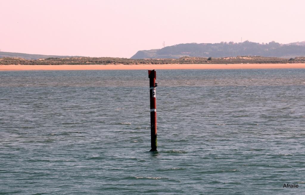 Foto de Pedreña (Cantabria), España