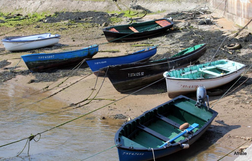 Foto de Pedreña (Cantabria), España