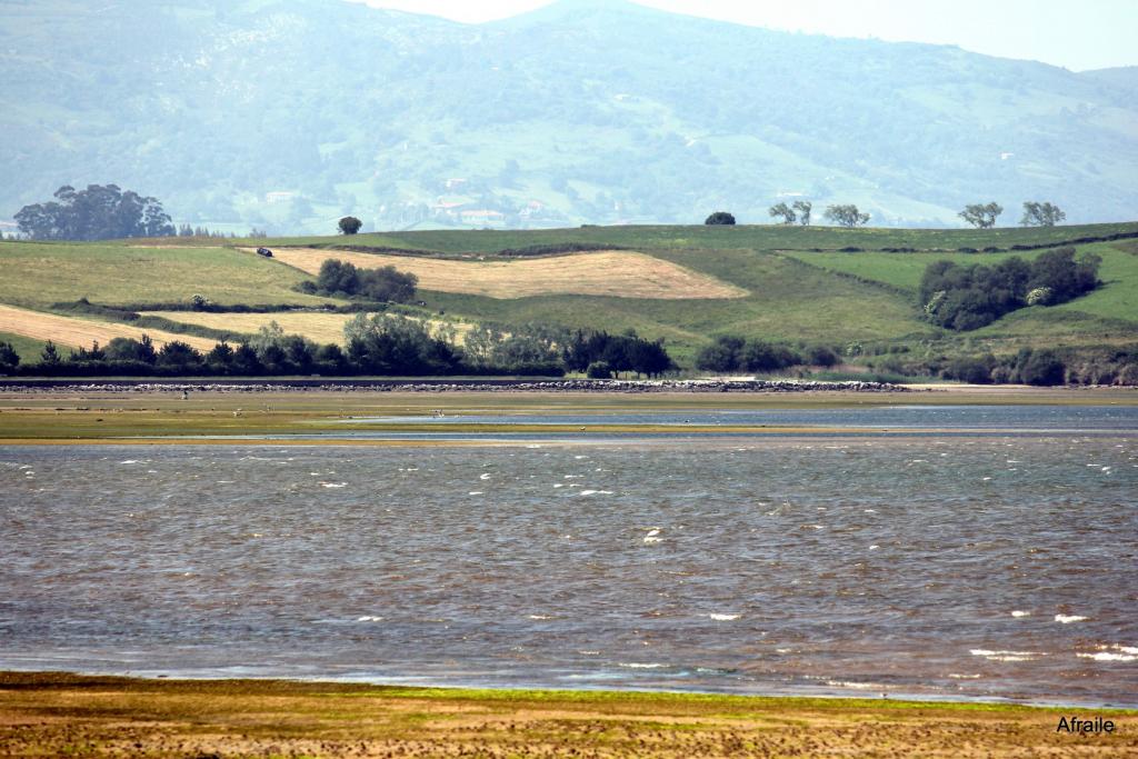 Foto de Pedreña (Cantabria), España