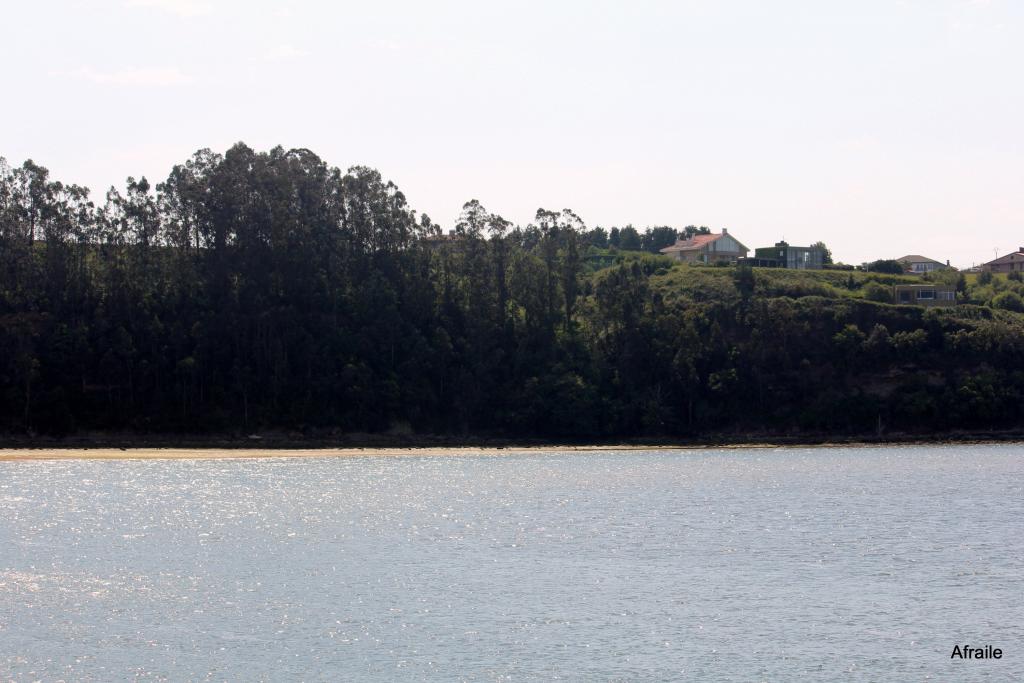 Foto de Pedreña (Cantabria), España