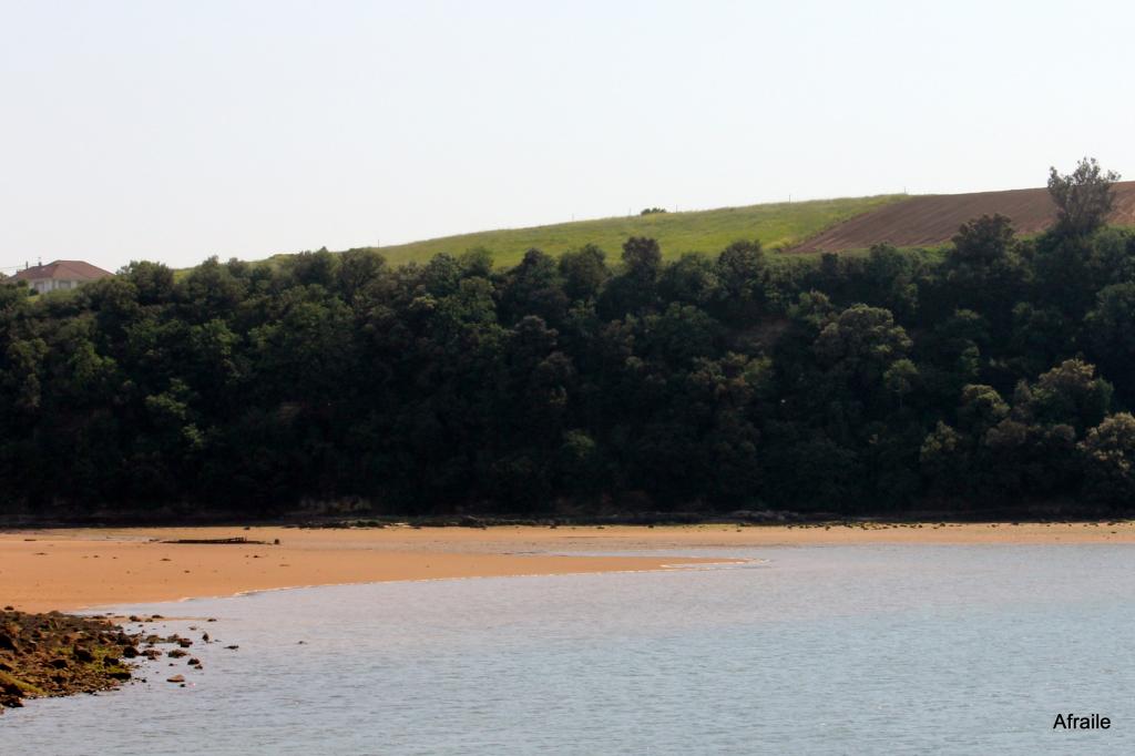 Foto de Pedreña (Cantabria), España