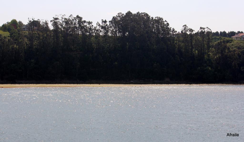 Foto de Pedreña (Cantabria), España