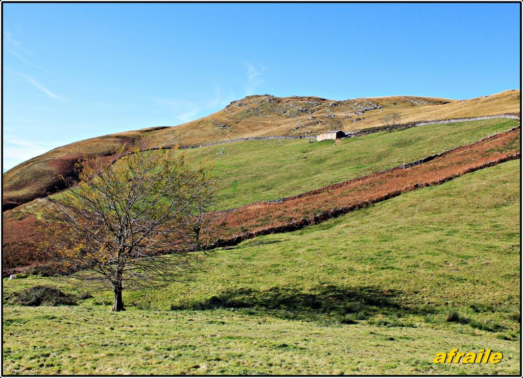 Foto de Campillo (Cantabria), España