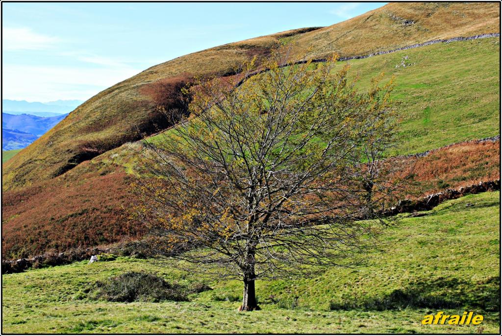 Foto de Campillo (Cantabria), España