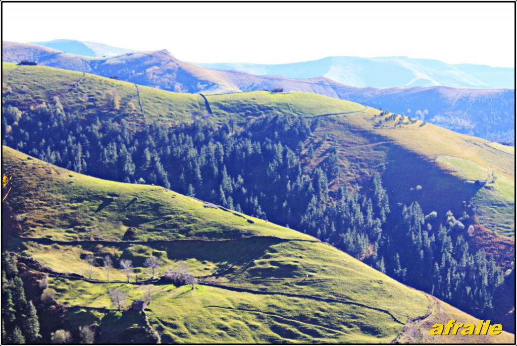 Foto de Campillo (Cantabria), España