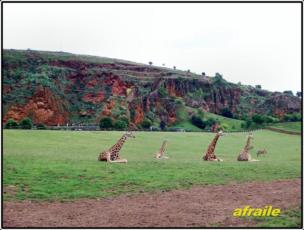 Foto de Campillo (Cantabria), España