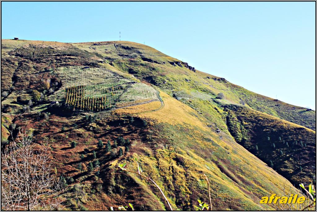 Foto de Campillo (Cantabria), España