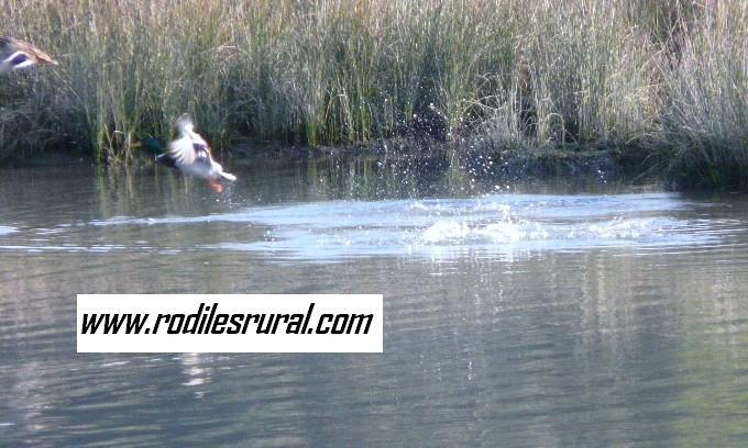 Foto de Villaviciosa (Asturias), España