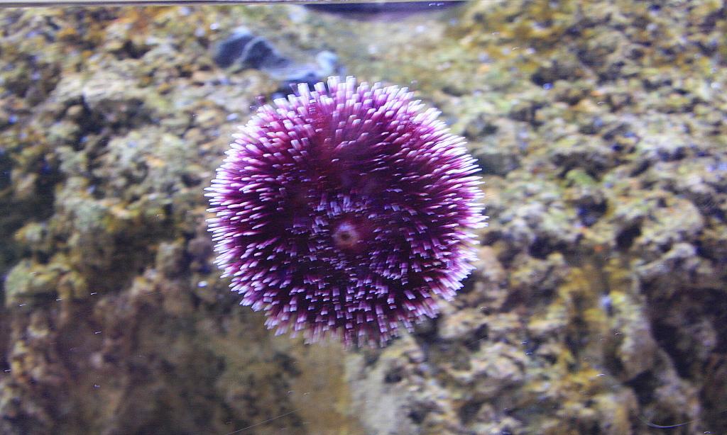 Foto de Valencia (València), España