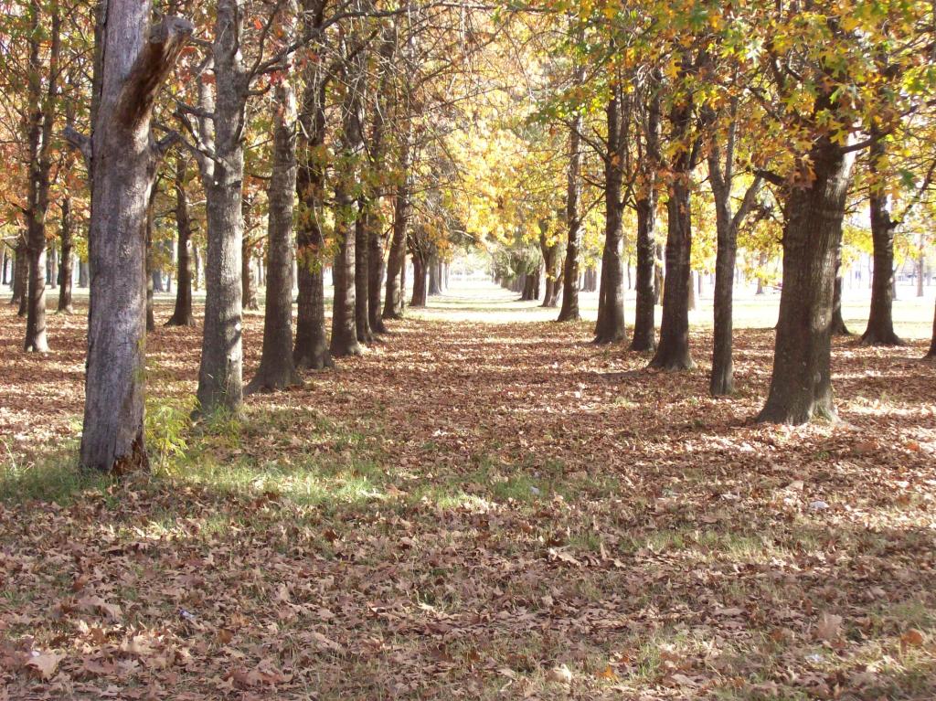 Foto de Mercedes, Argentina