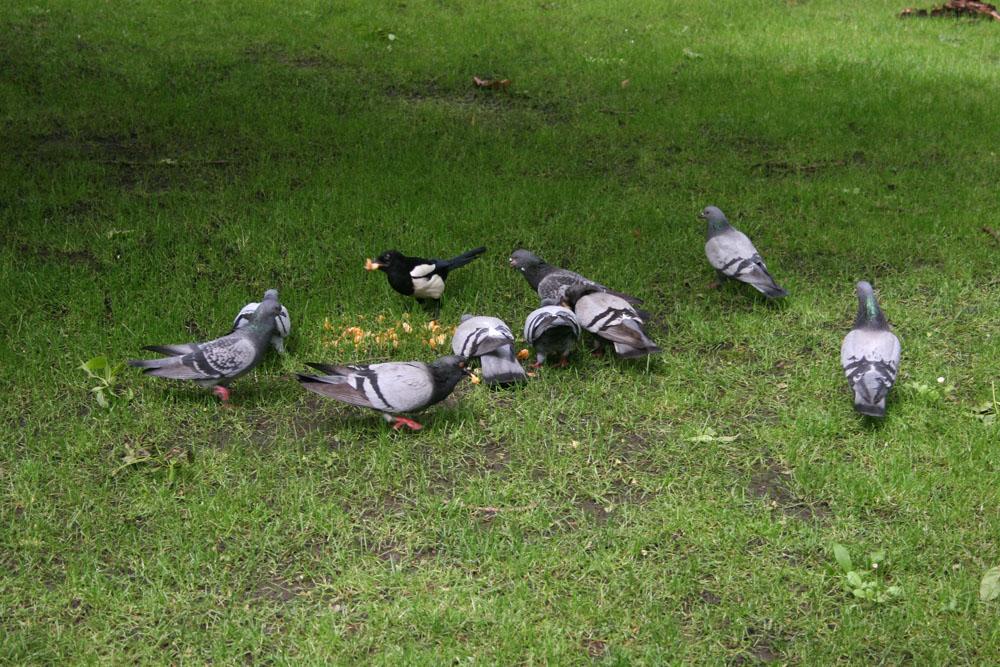 Foto de Oviedo (Asturias), España