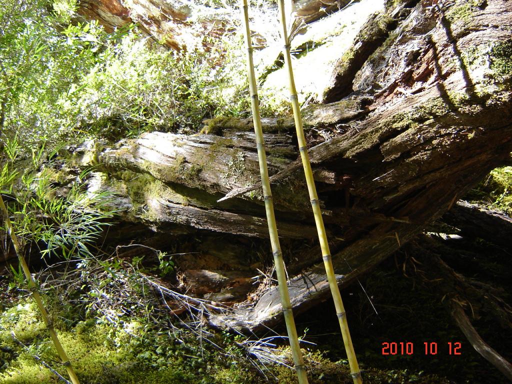 Foto de Esquel (Chubut), Argentina