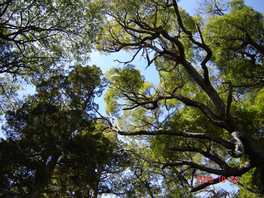 Foto de Esquel (Chubut), Argentina
