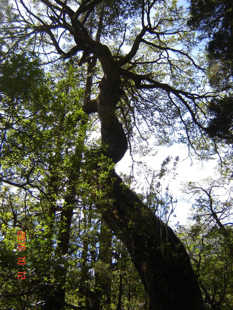 Foto de Esquel (Chubut), Argentina