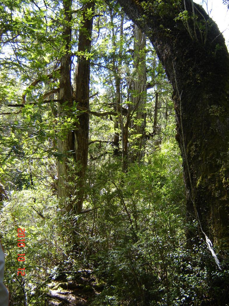 Foto de Esquel (Chubut), Argentina