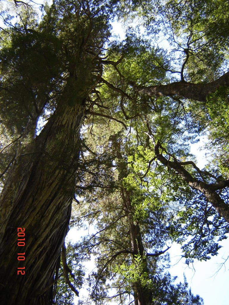 Foto de Esquel (Chubut), Argentina