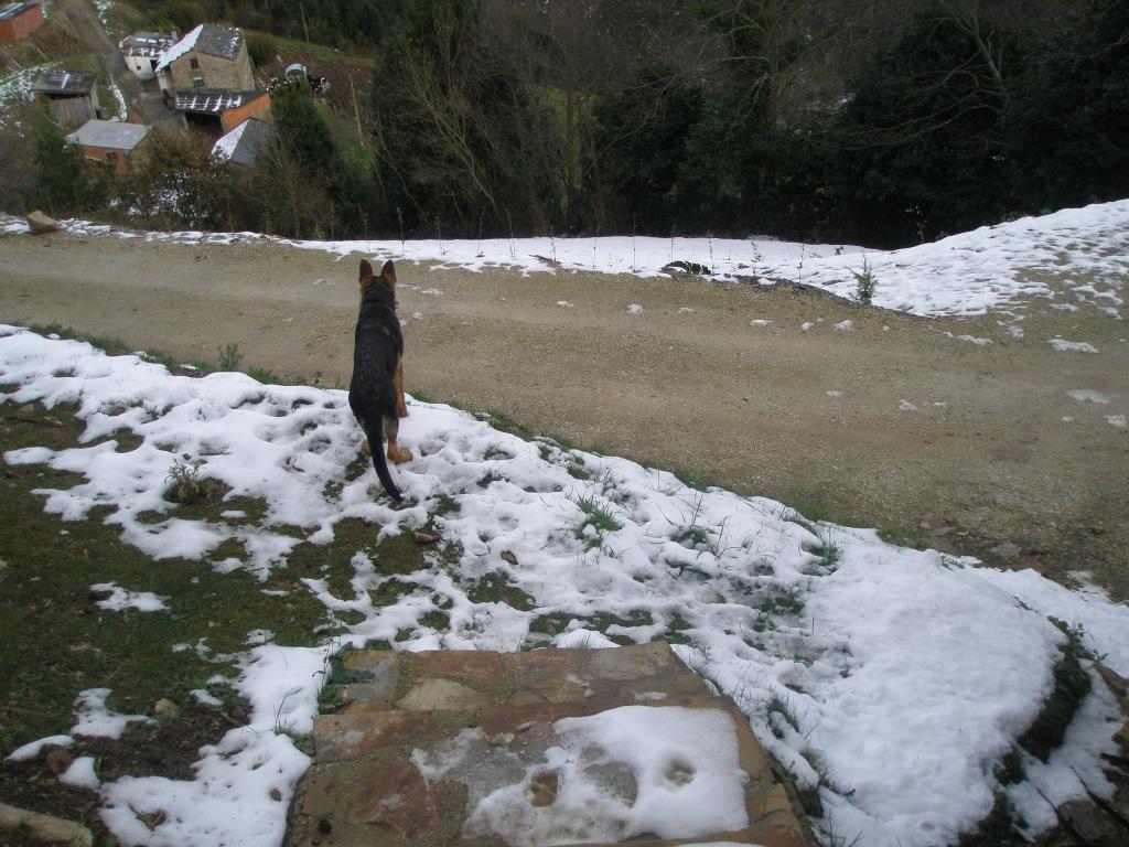 Foto de Riocabo (Tapia de Casariego) (Asturias), España