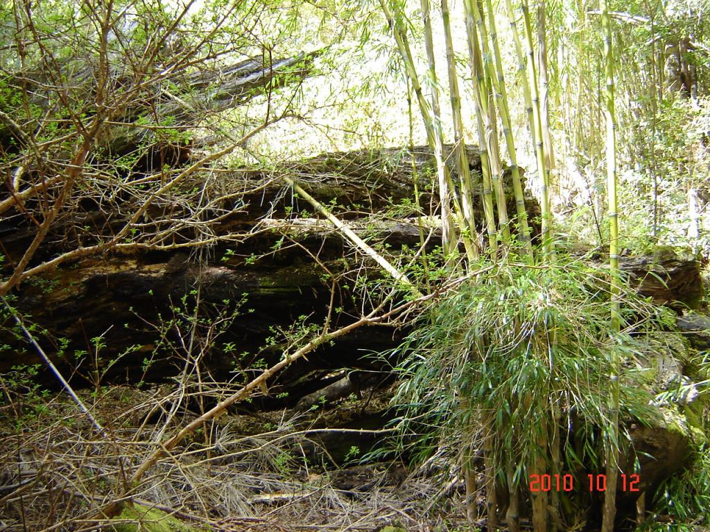 Foto de Esquel (Chubut), Argentina
