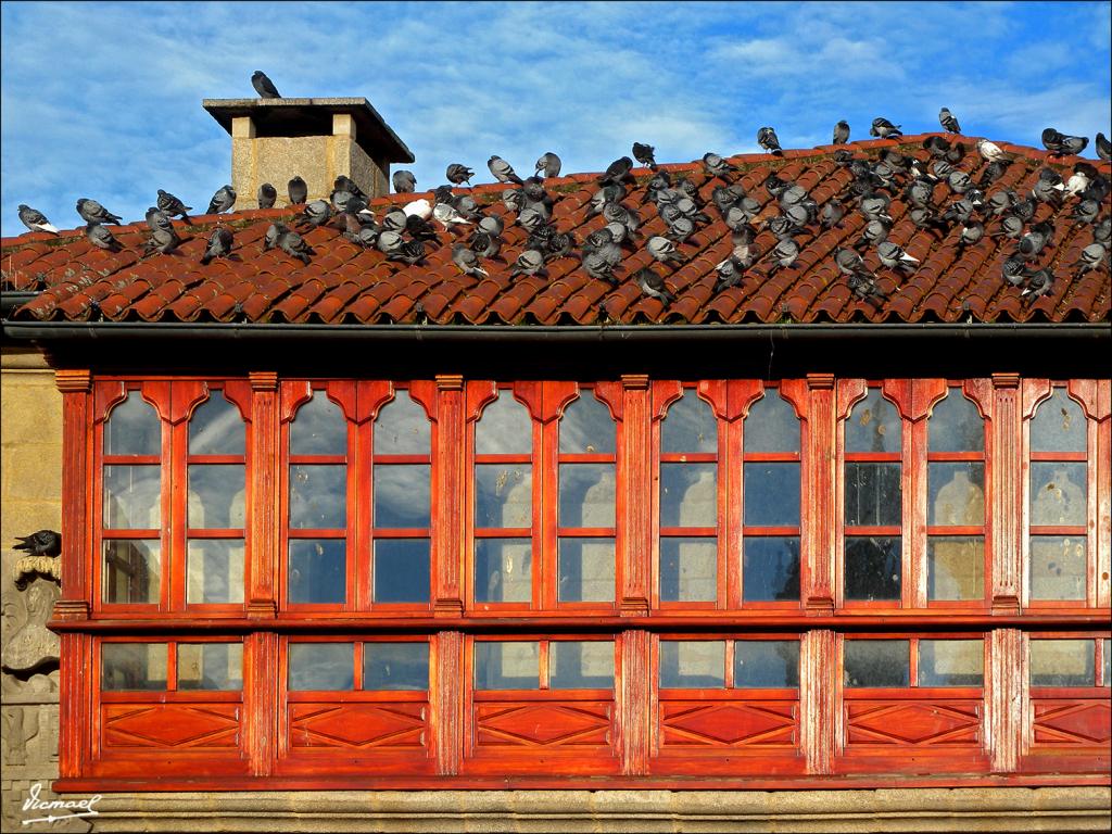 Foto de Pontevedra (Galicia), España