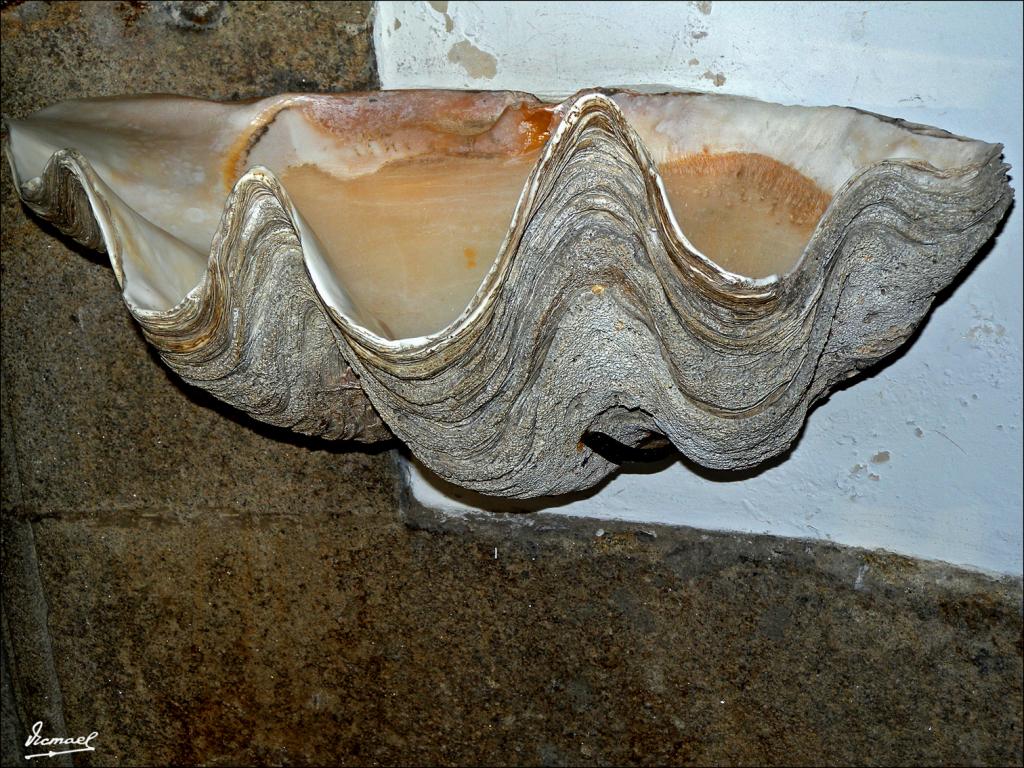 Foto de Pontevedra (Galicia), España