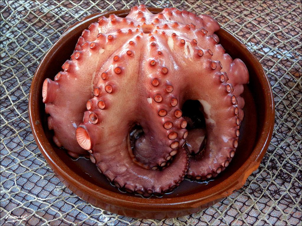 Foto de Combarro (Pontevedra), España