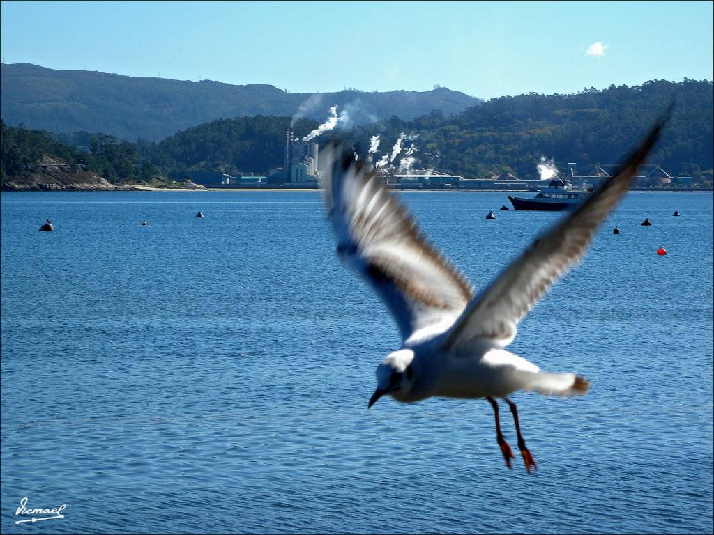 Foto de Combarro (Pontevedra), España