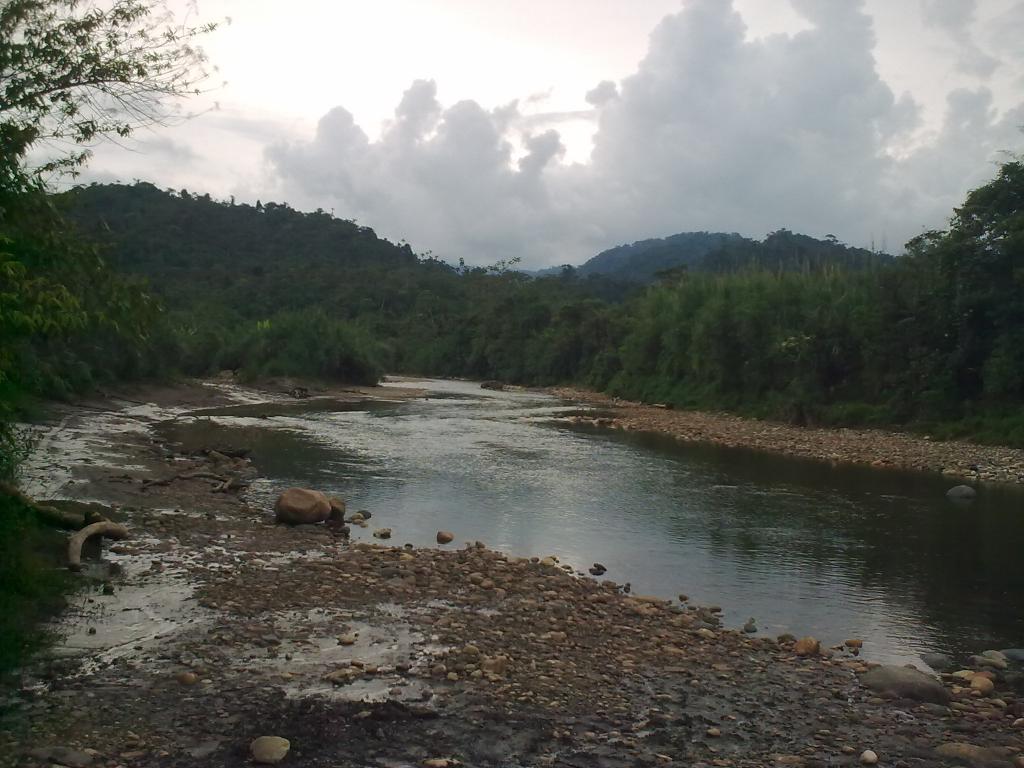 Foto De Puyo Ecuador