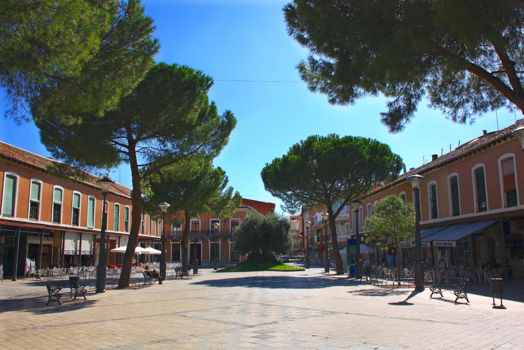 Foto de Daimiel (Ciudad Real), España