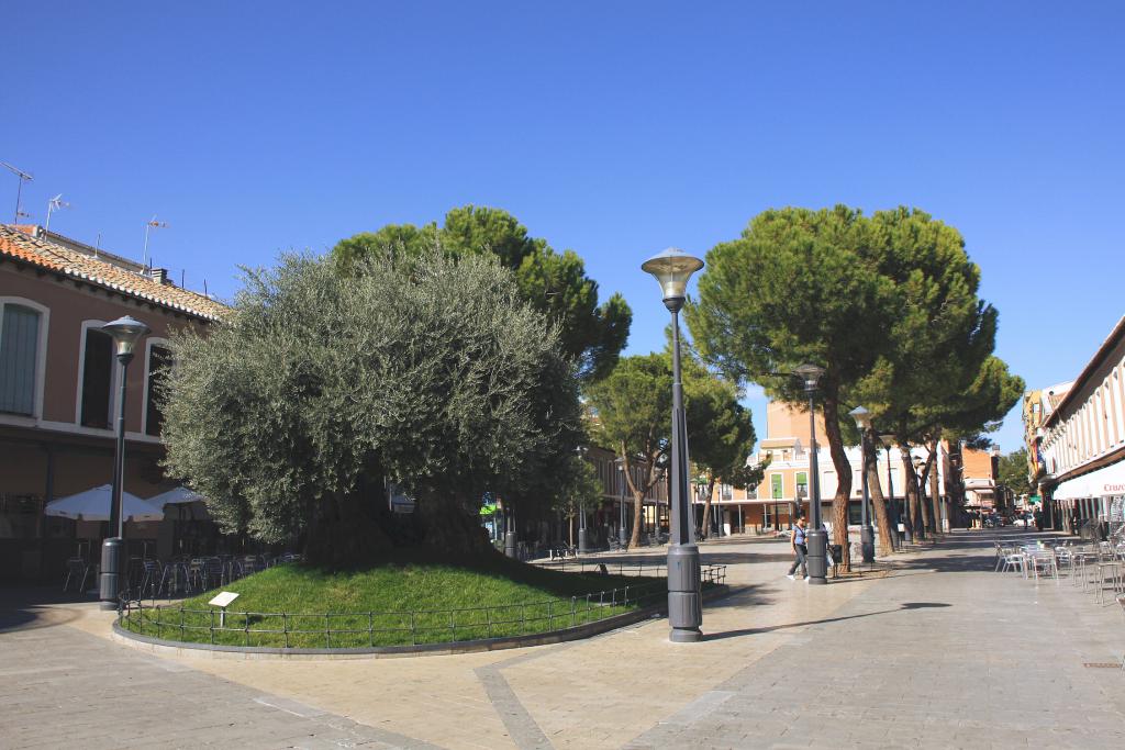 Foto de Daimiel (Ciudad Real), España