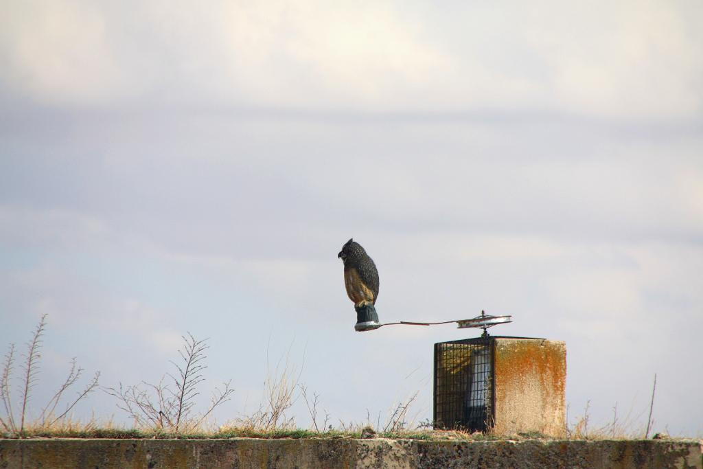 Foto de Belmonte (Cuenca), España