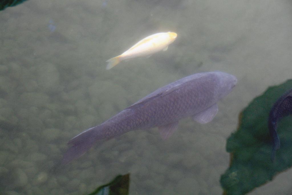 Foto de Argamasilla de Alba (Ciudad Real), España