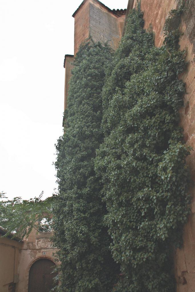 Foto de Alcaraz (Albacete), España