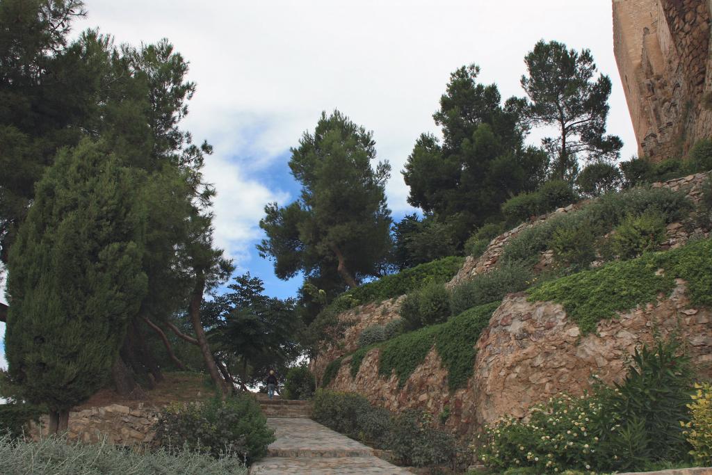 Foto de Almansa (Albacete), España