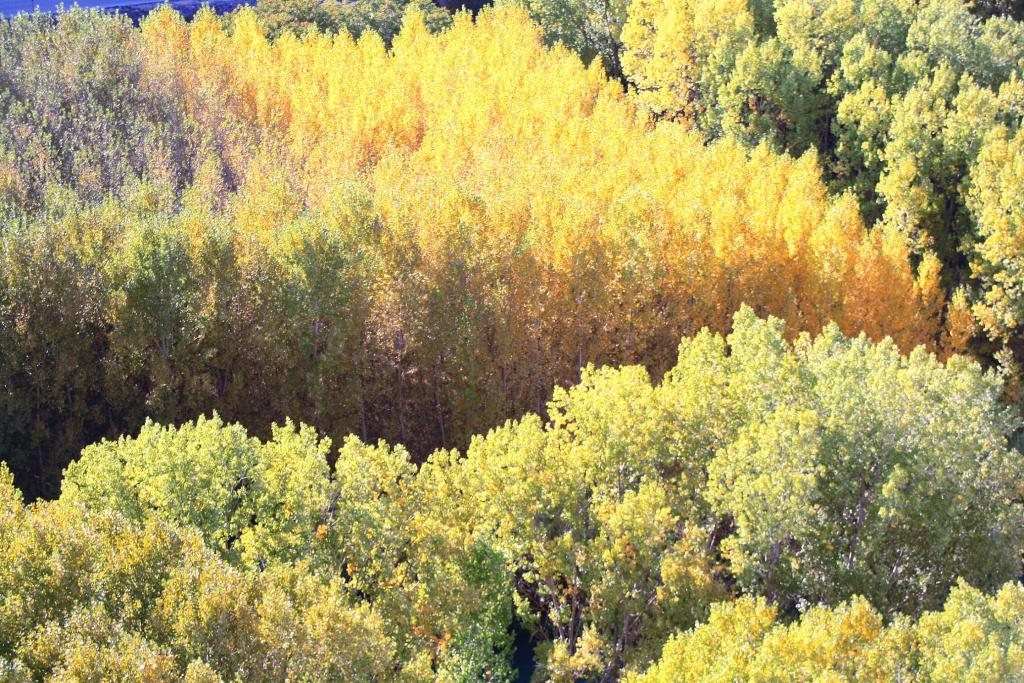 Foto de Alcalá del Júcar (Albacete), España