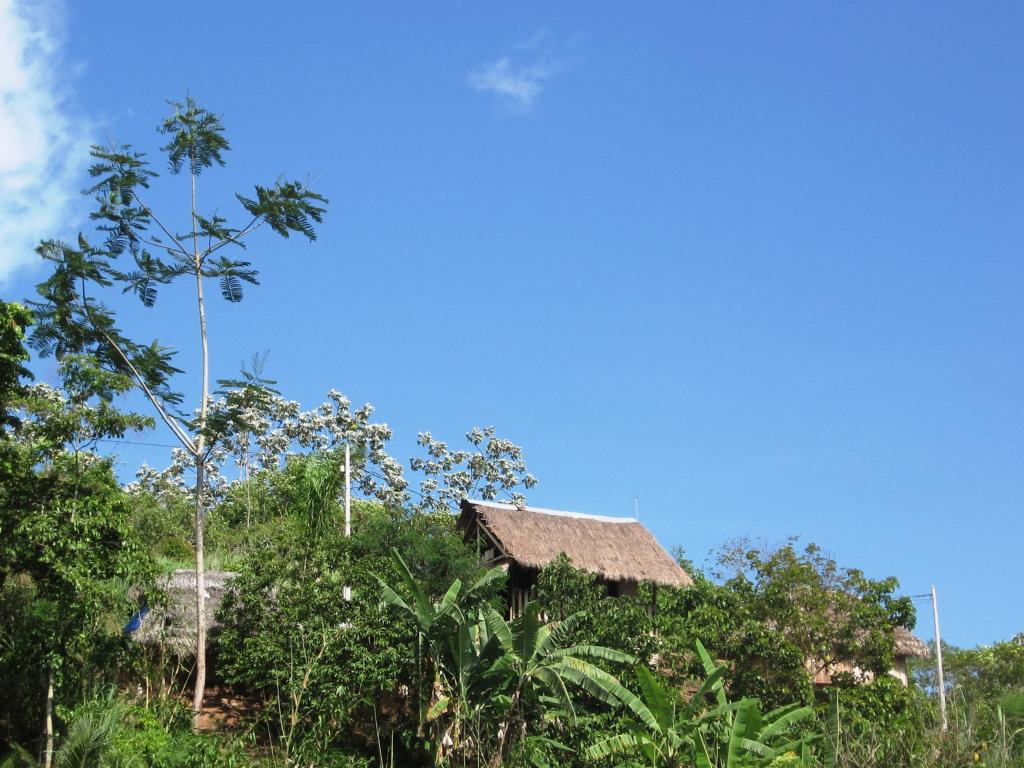 Foto de Chanchamayo, Perú