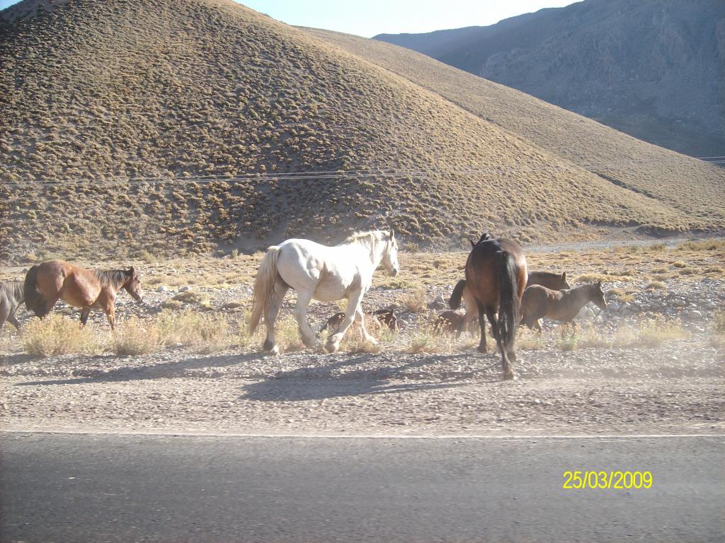 Foto de Las Leñas, Argentina