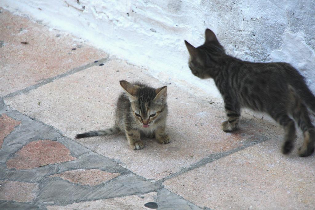Foto de Alcalá del Júcar (Albacete), España