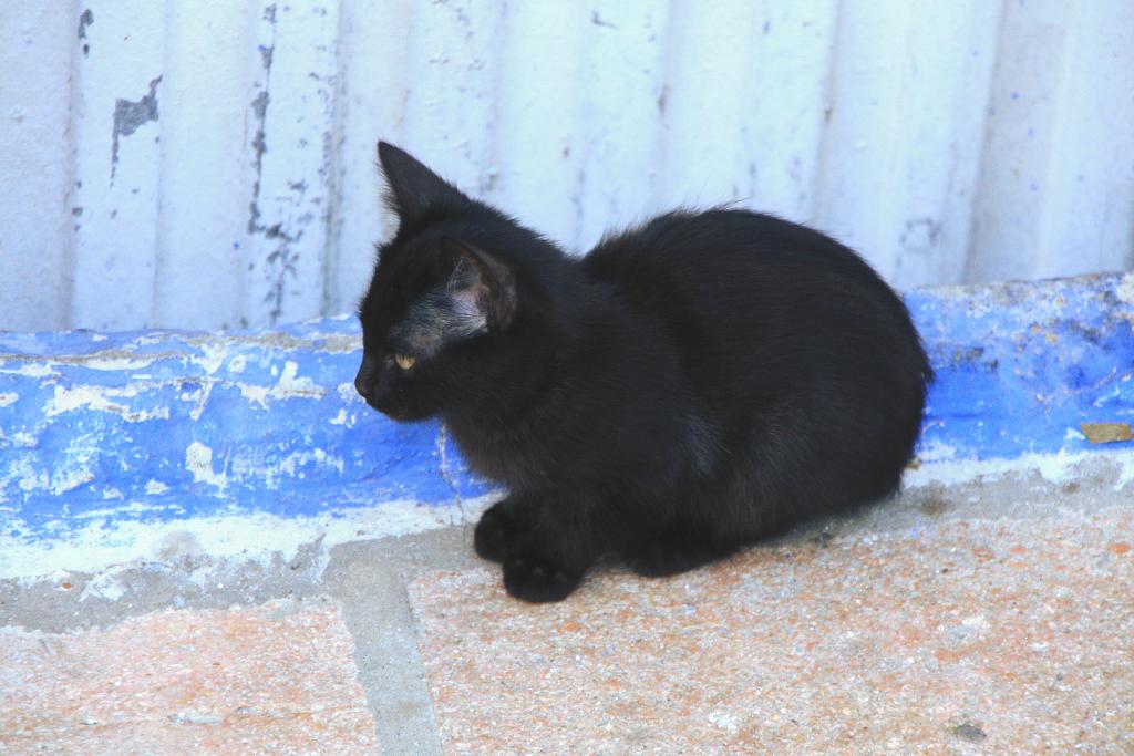 Foto de Alcalá del Júcar (Albacete), España