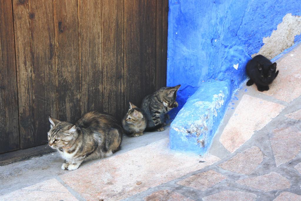 Foto de Alcalá del Júcar (Albacete), España