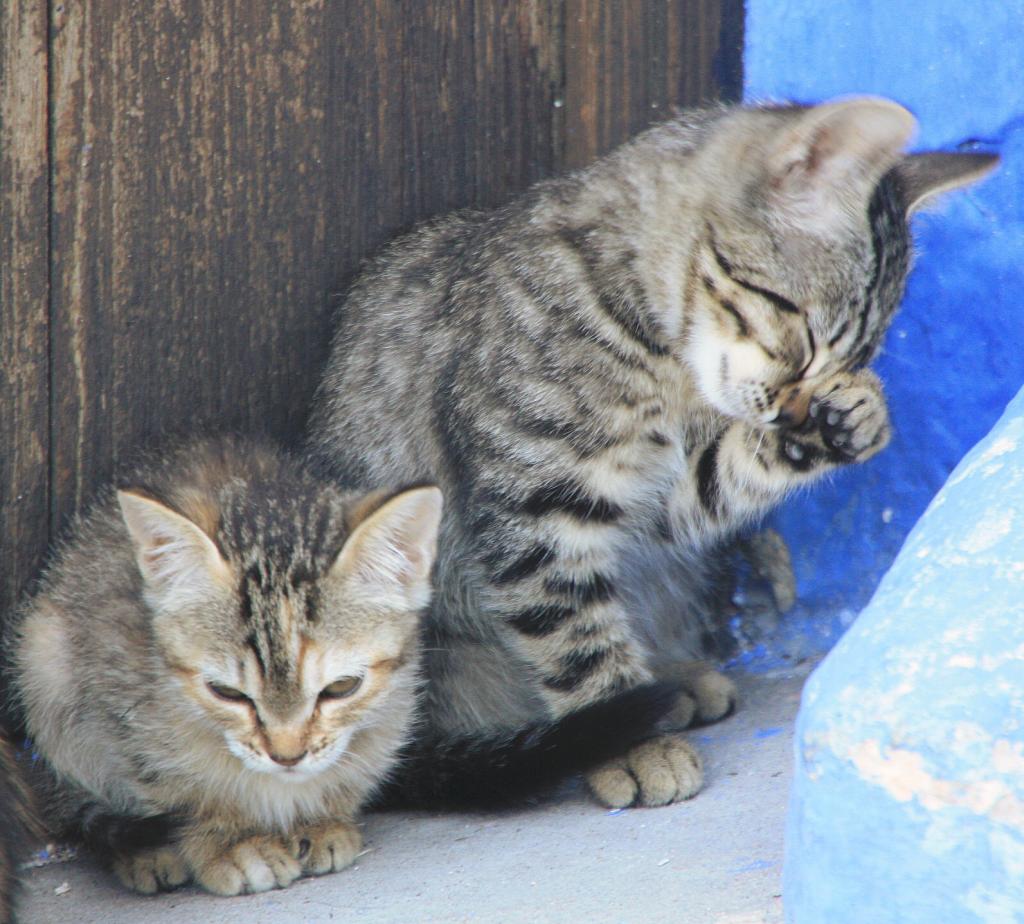 Foto de Alcalá del Júcar (Albacete), España