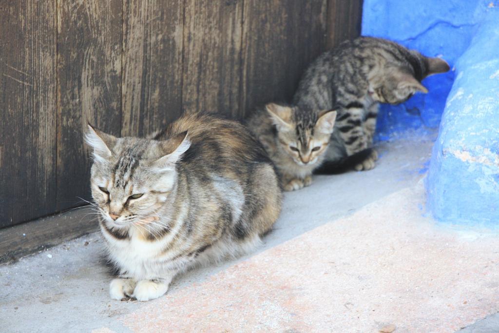 Foto de Alcalá del Júcar (Albacete), España